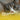 Chicken Flavored D-Mannose for Cats UTI