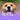 Natural UTI Relief for Dogs
