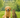 D-Mannose for Dogs & Cats: The Complete 2025 Guide to Natural UTI Prevention
