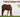 how to use dry shampoo for horses