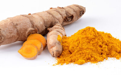 MAGICAL Properties of TURMERIC Every Pet Owner Should Know